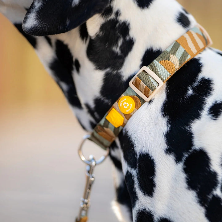 Hundehalsband Cloudbeam