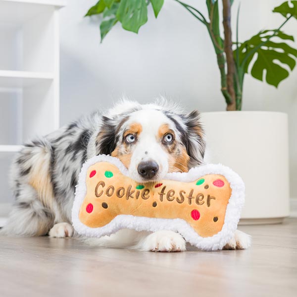 Cookie Tester Kuschelknochen