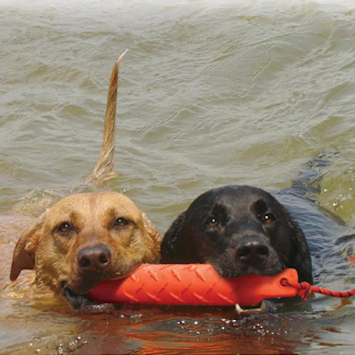 KONG Trainings Dummy Jetzt erhältlich bei  Dogsmopolitan