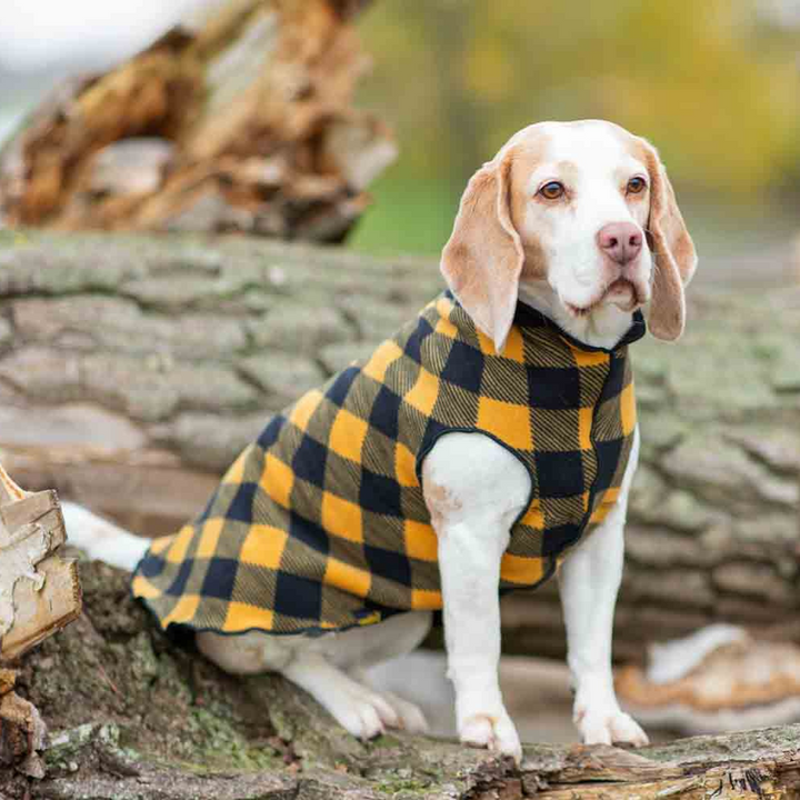 Kuschelweicher Fleece-Pullover Schwarz/Karo Jetzt erhältlich bei  Dogsmopolitan