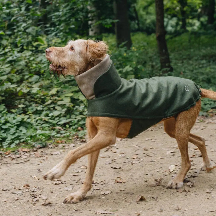 Hundemantel Brooklyn Flanell Fern Green Jetzt erhältlich bei  Dogsmopolitan