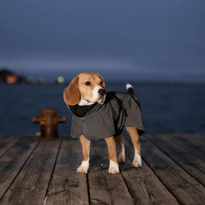 Hochreflektierender Hunderegenmantel Visibility / Schwarz Jetzt erhältlich bei  Dogsmopolitan