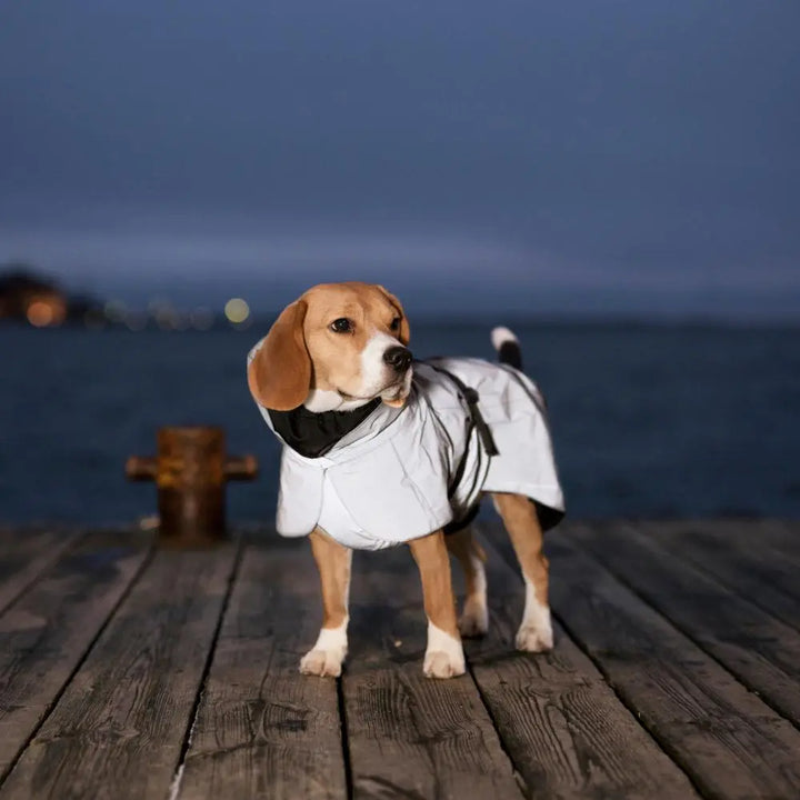 Hochreflektierender Hunderegenmantel Visibility / Schwarz Jetzt erhältlich bei  Dogsmopolitan