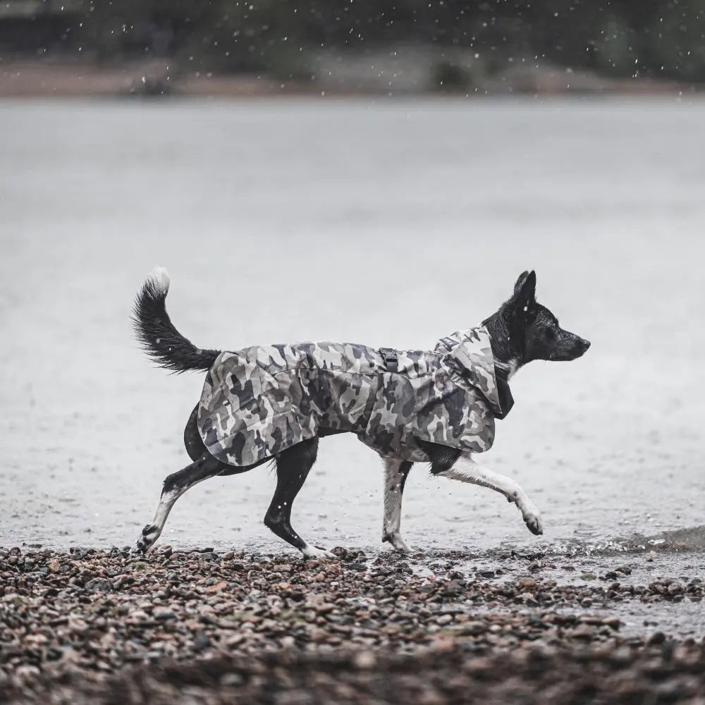 Hochreflektierender Hunderegenmantel Recovery / Camouflage Jetzt erhältlich bei  Dogsmopolitan