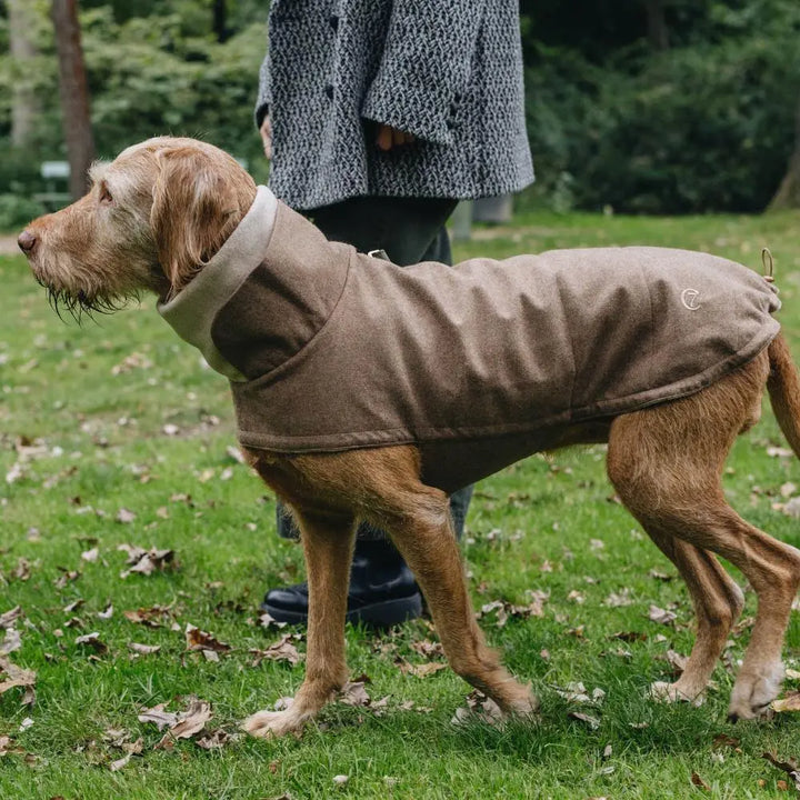 Hundemantel Brooklyn Flanell Hazel Jetzt erhältlich bei  Dogsmopolitan