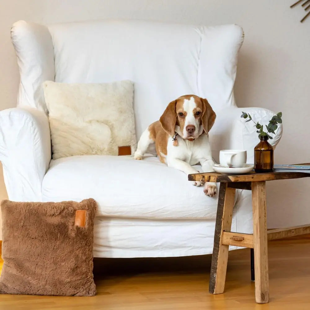 HYGGEPILLOW Kopf- und Kuschelkissen Maroon Jetzt erhältlich bei  Dogsmopolitan