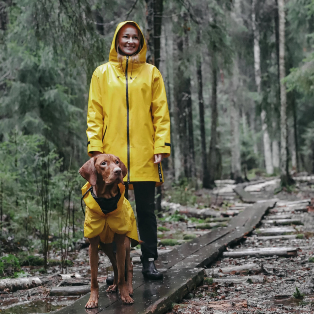 Hochreflektierender Regenmantel / Gelb Jetzt erhältlich bei  Dogsmopolitan