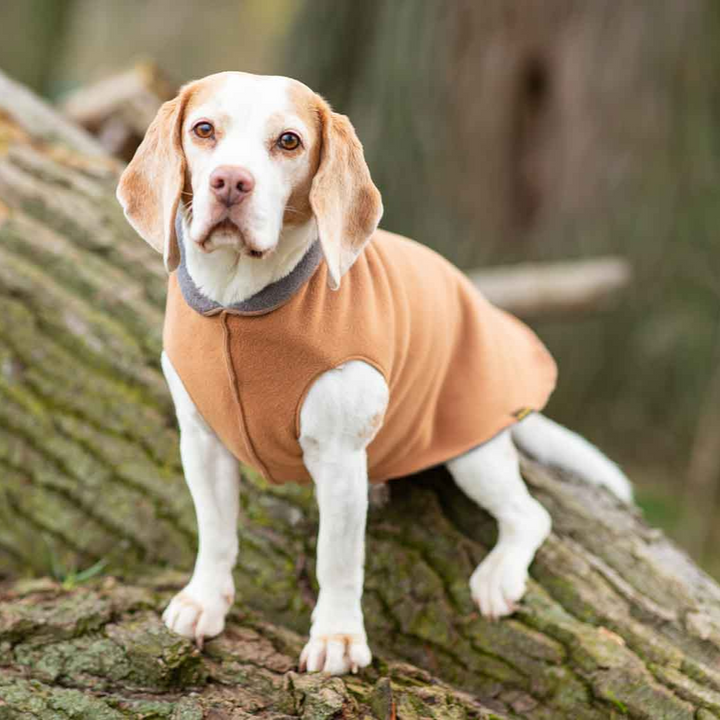 Kuschelweicher Fleece-Pullover Grau/Braun Jetzt erhältlich bei  Dogsmopolitan