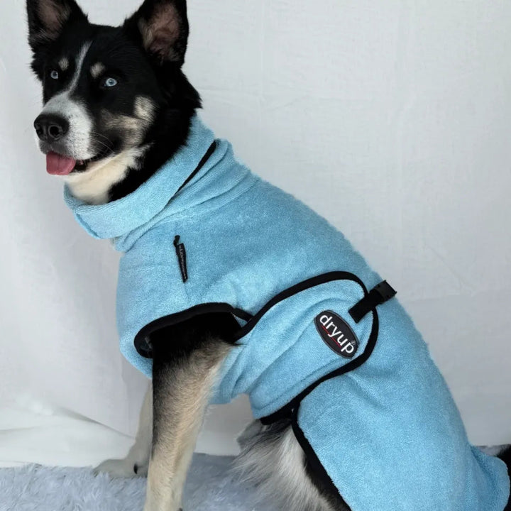 Dog bathrobe rose