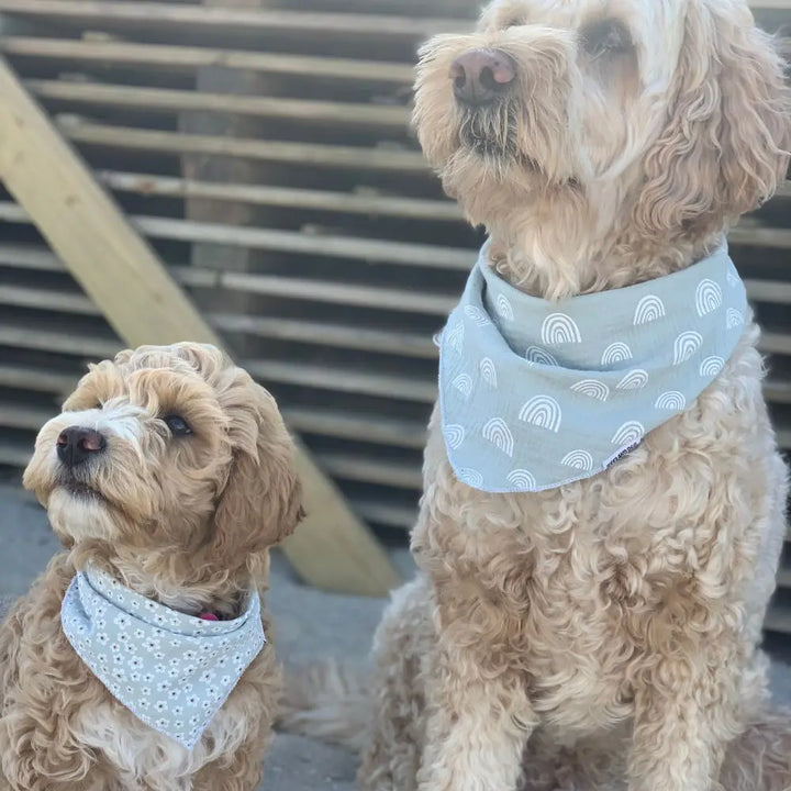 Halstuch Bloemen blau Jetzt erhältlich bei  Dogsmopolitan