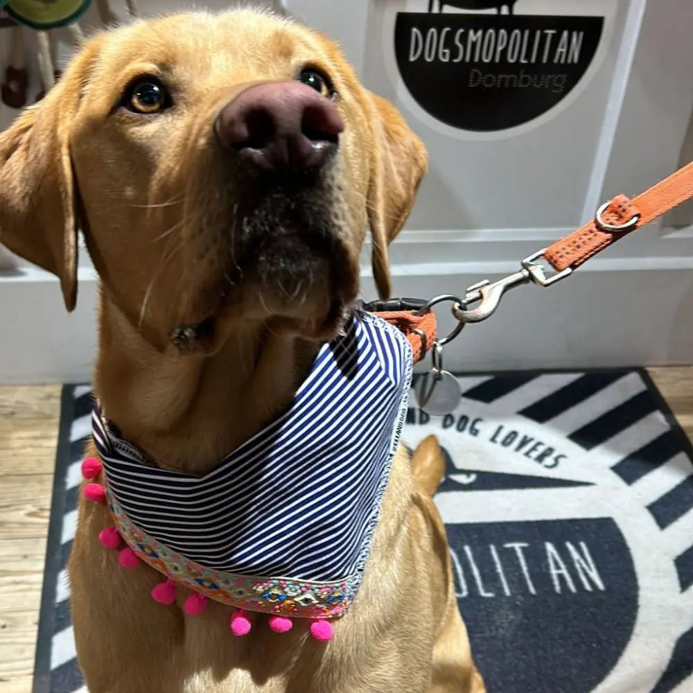 Zeeland Dog Halstuch Hippie Pink Jetzt erhältlich bei  Dogsmopolitan