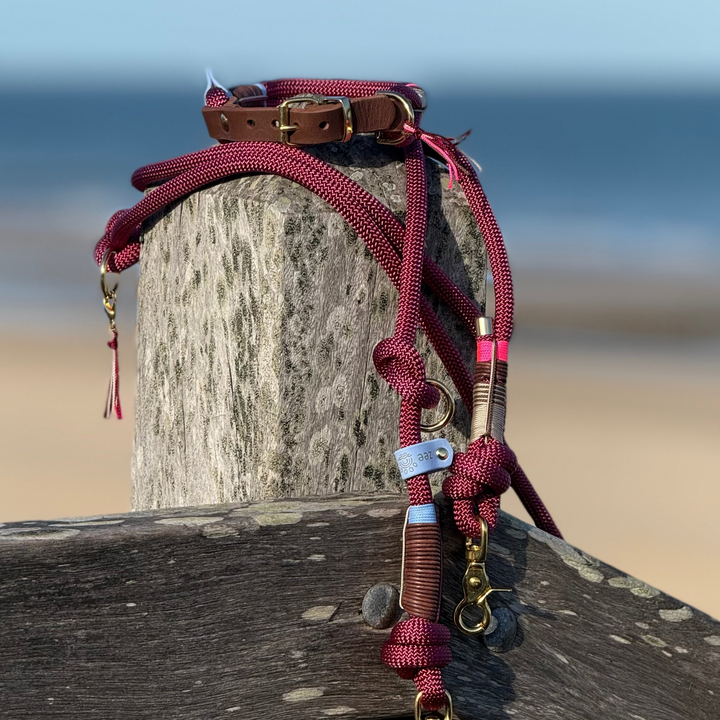 Rope collar Driftwood