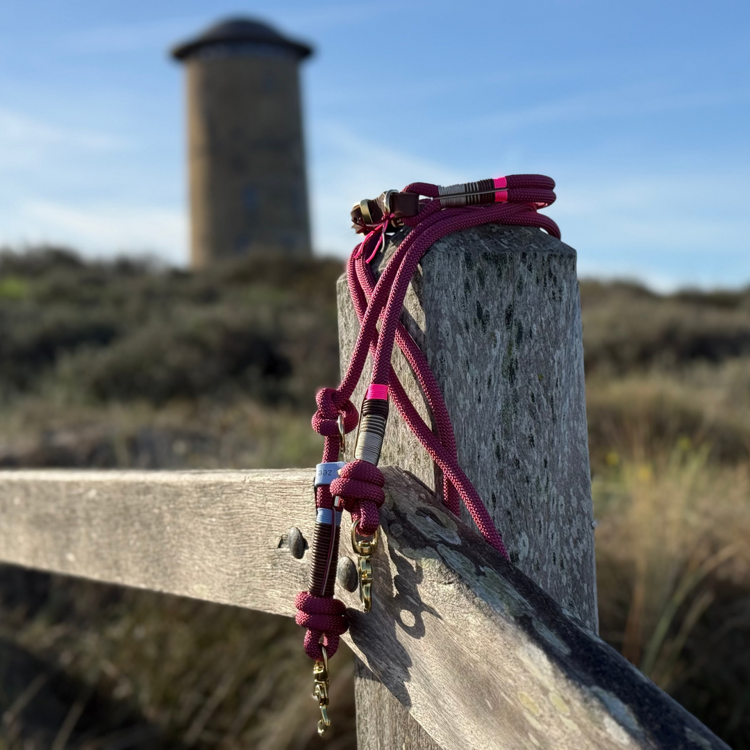 Rope collar Driftwood