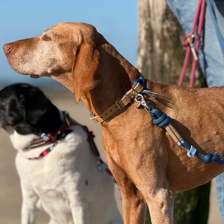 Rope collar Driftwood