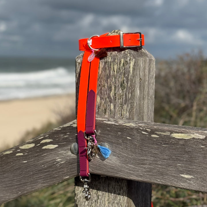 Beta-Biothane® Halsband Neon Orange