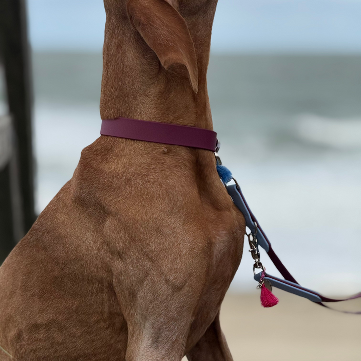 Beta-Biothane® Halsband Merlot