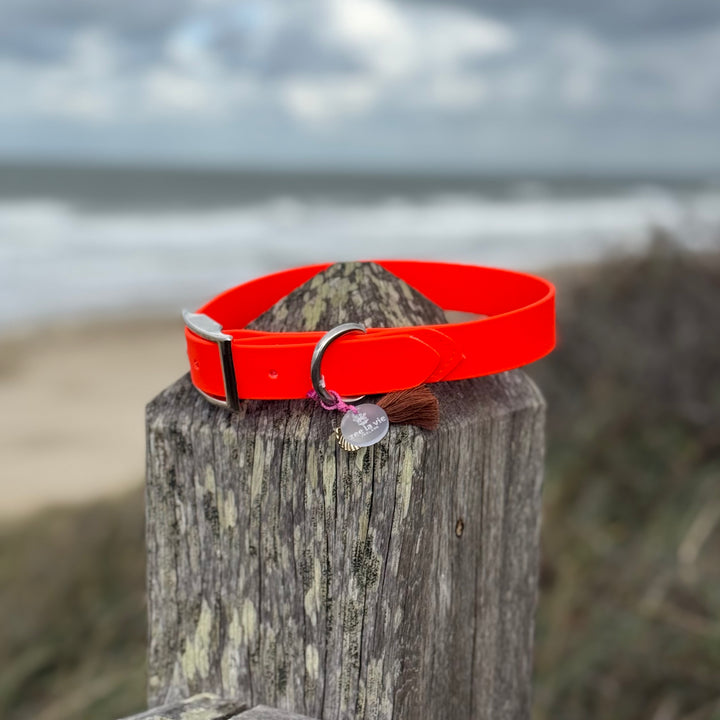 Beta-Biothane® Halsband Neon Orange