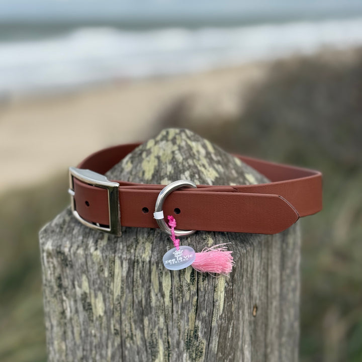 Beta-Biothane® Collar Hazel