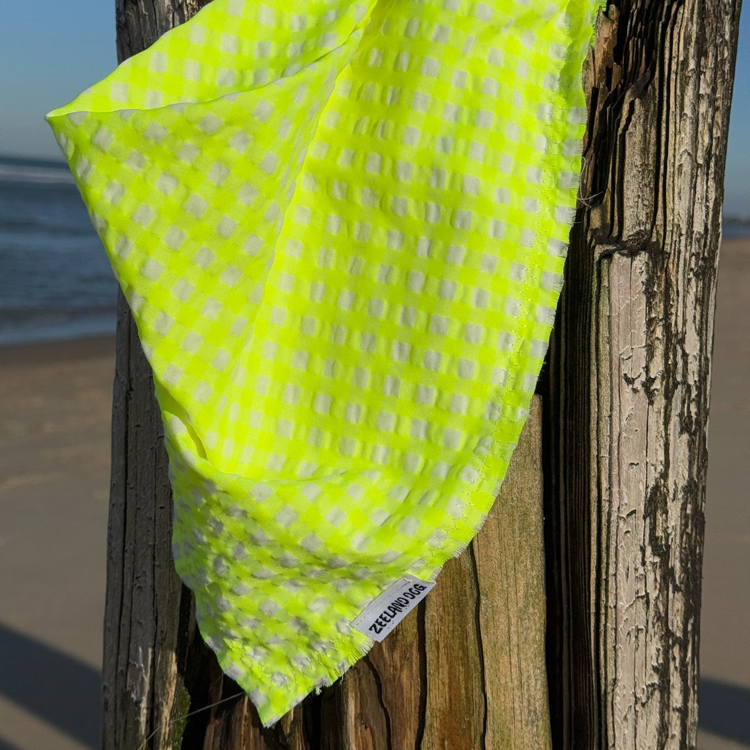 Zeeland Dog Scarf Lemon