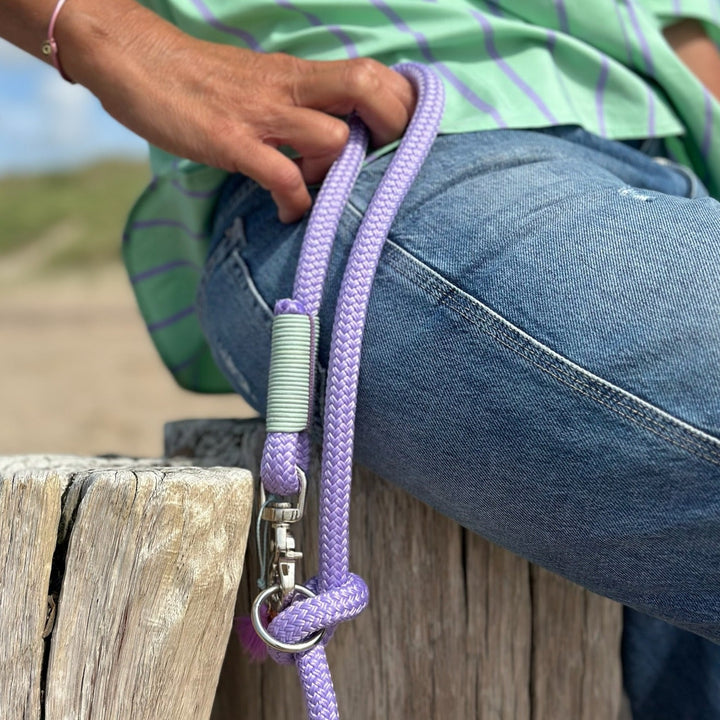 Zeeland Dog Lavender Sea