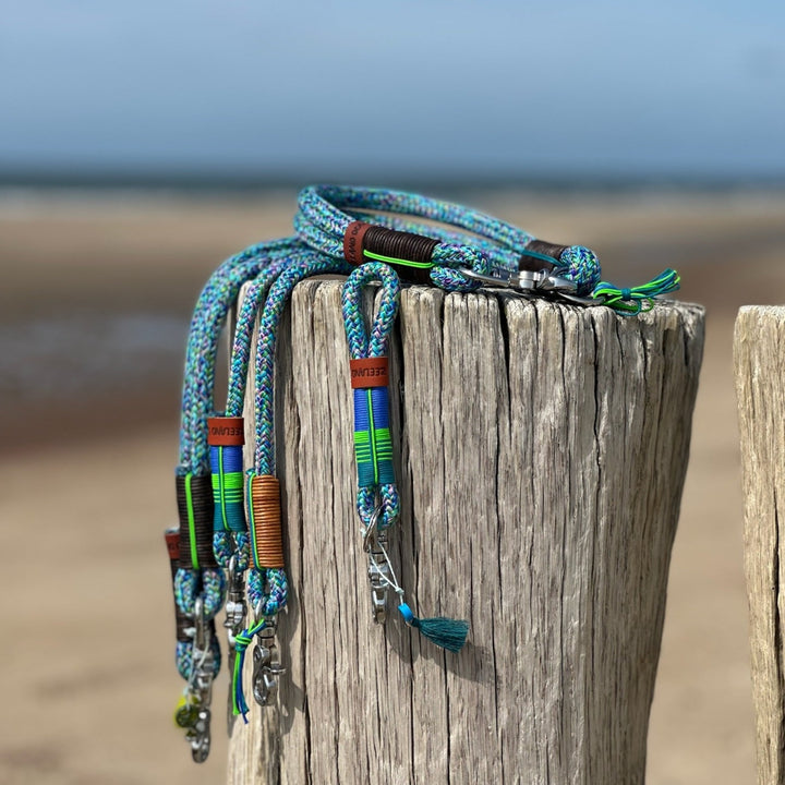 Zeeland Dog Mermaid