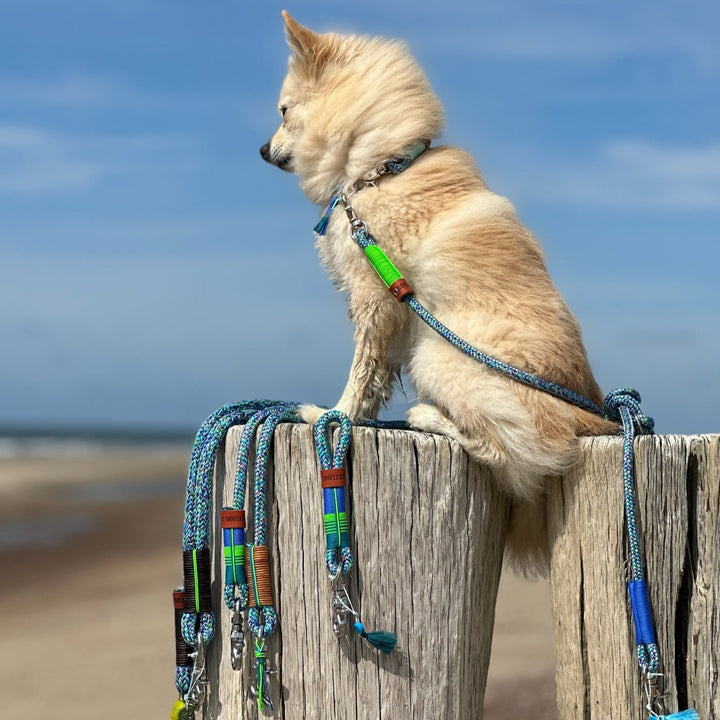 Zeeland Dog Mermaid