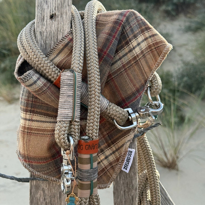Autumn at the Beach