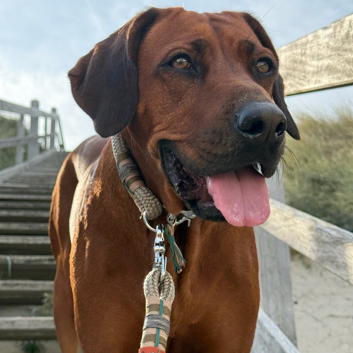 Autumn at the Beach