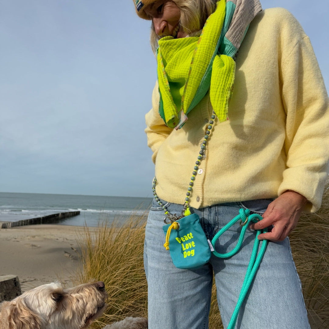 Zeeland Dog Scarf Lemon