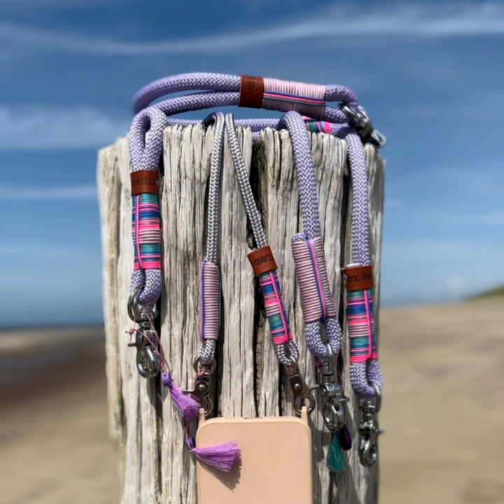 Zeeland Dog Lavender Sea