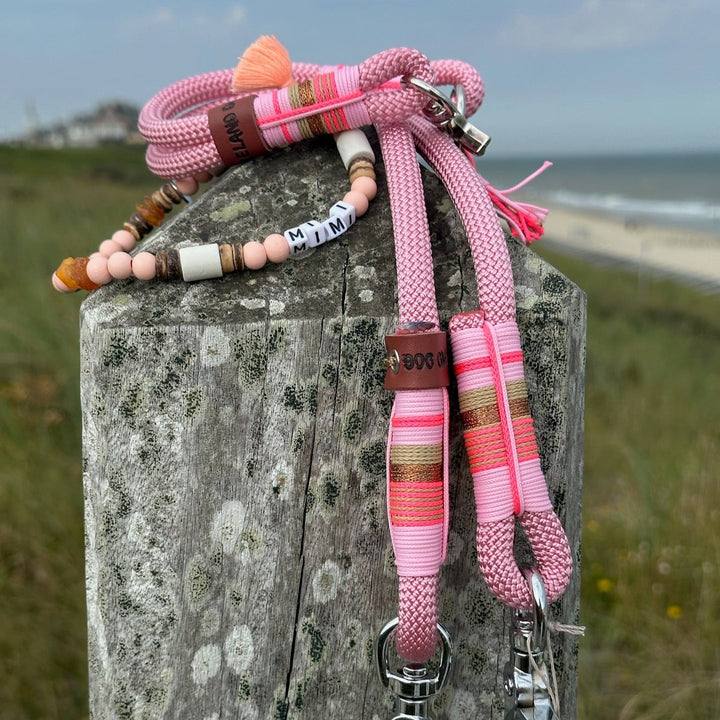 Zeeland Dog Mimi's Roses by the sea