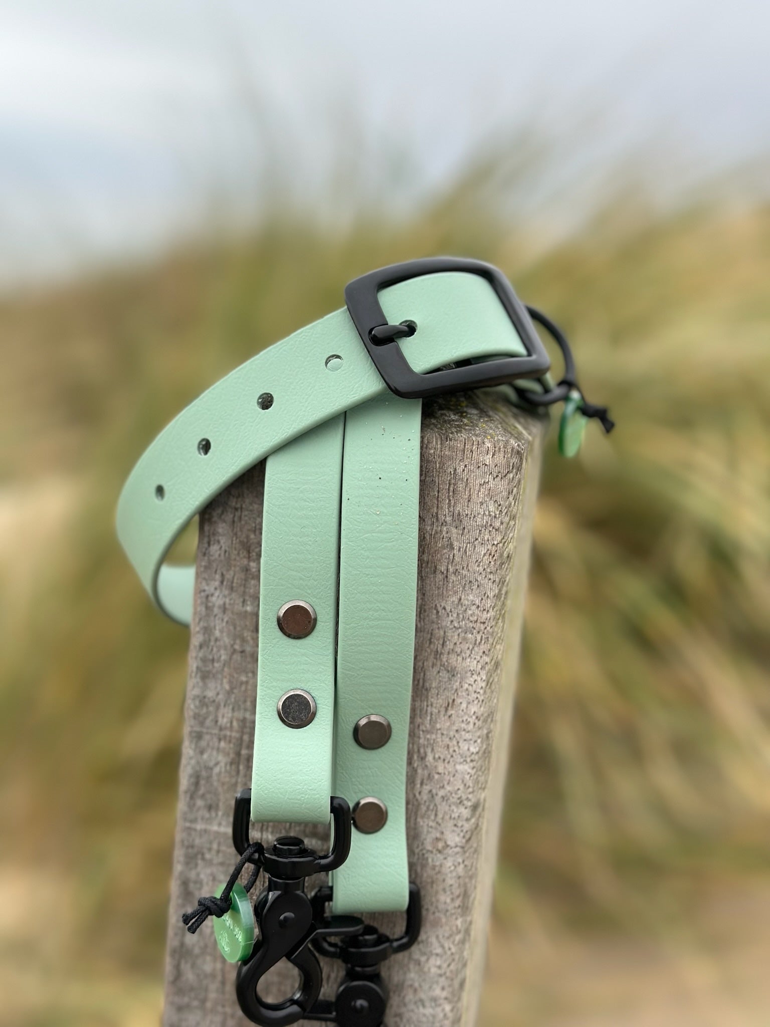 Zeeland Dog Beta-BioThane® Leine Sea Green Jetzt erhältlich bei  Dogsmopolitan