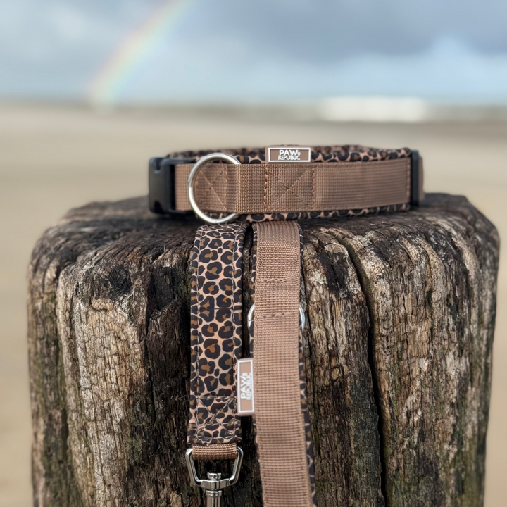 Hundehalsband &amp; Leine Leo Love Marrakesh