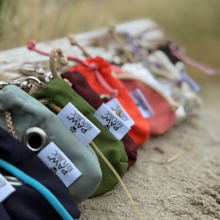 Poopsäckchen Spender