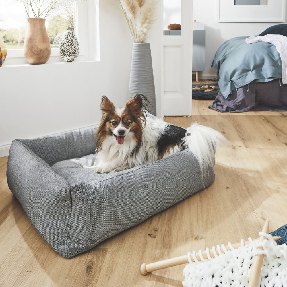 Hundebett Smooth - outdoorgeeignet Jetzt erhältlich bei  Dogsmopolitan