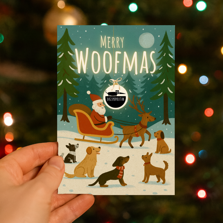 Weihnachtsgrußkarte für Hunde - ESSBAR