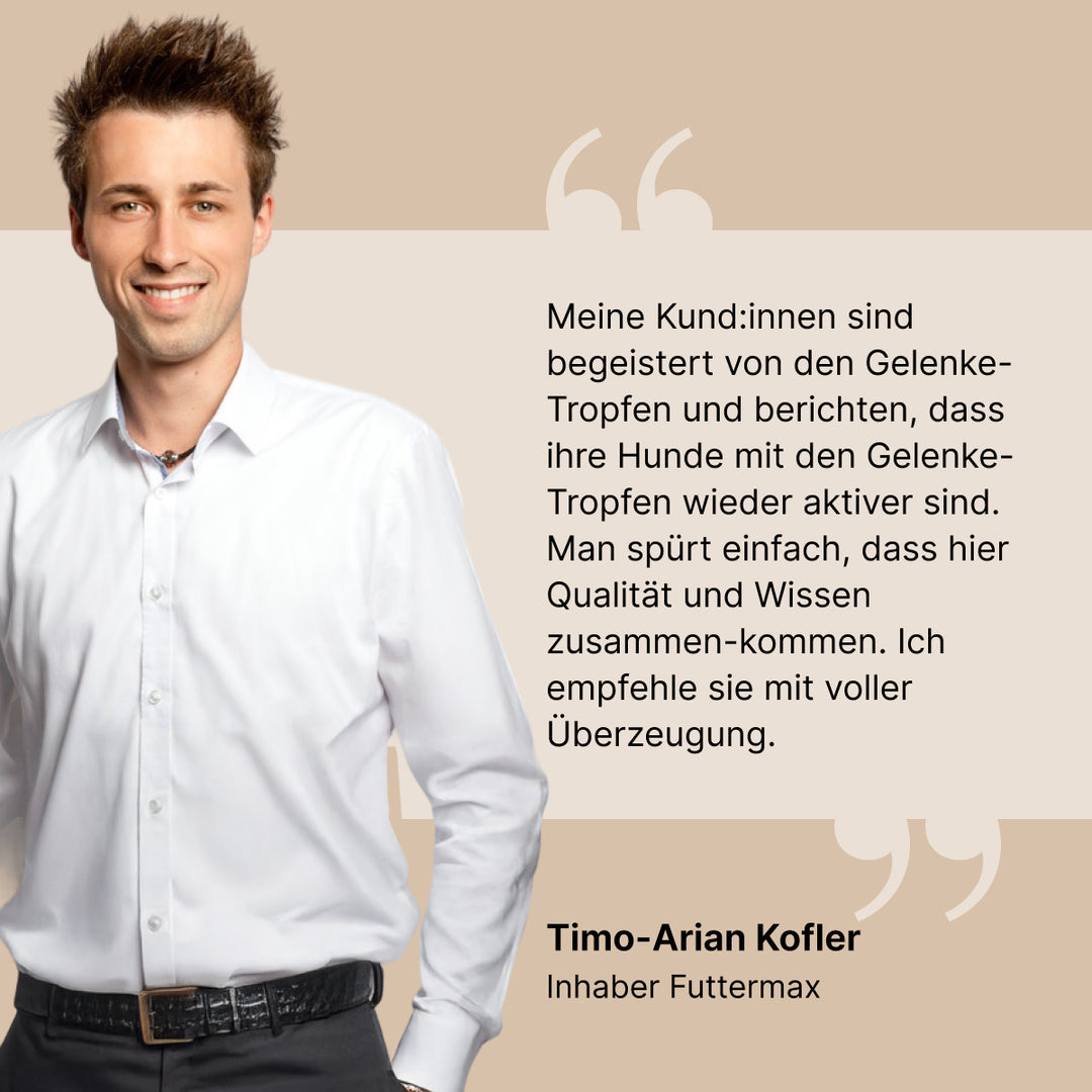 Gelenk Tropfen (30 ml)