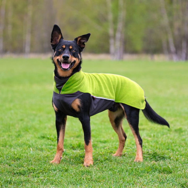 Jumppa Pomppa Lime Jetzt erhältlich bei  Dogsmopolitan