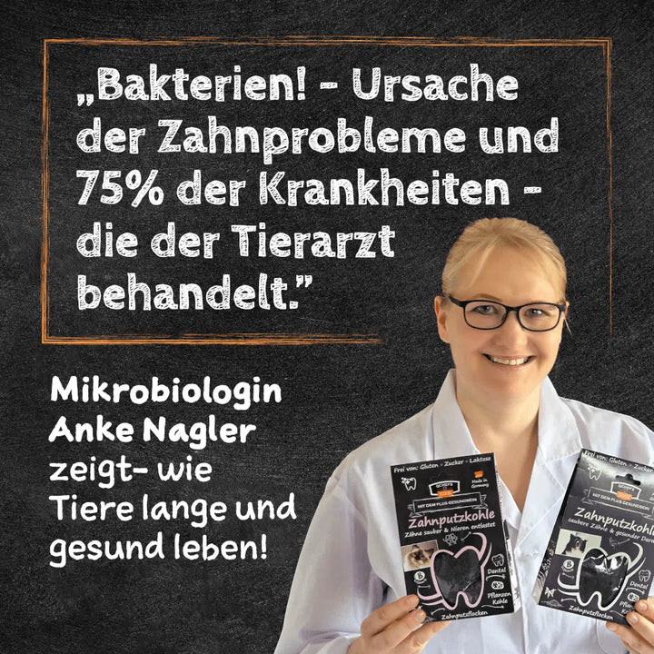 Cheesies - Zahnpflege Snack