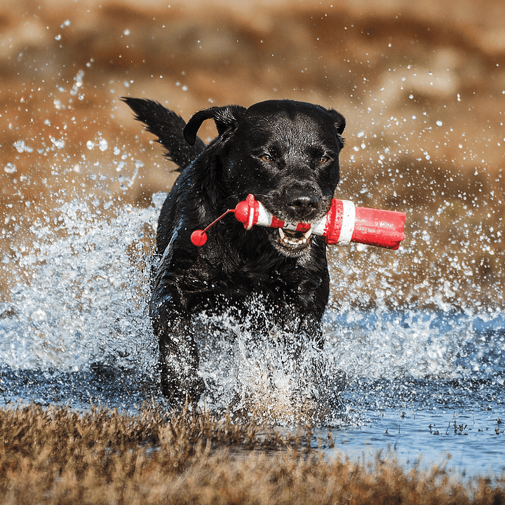 Rogz Leuchtturm - Das Ultimative Schwimmspielzeug Jetzt erhältlich bei  Dogsmopolitan