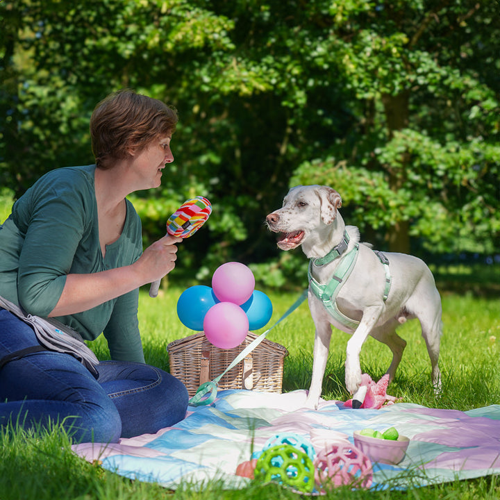 Hundegeschirr Fun Lollipop