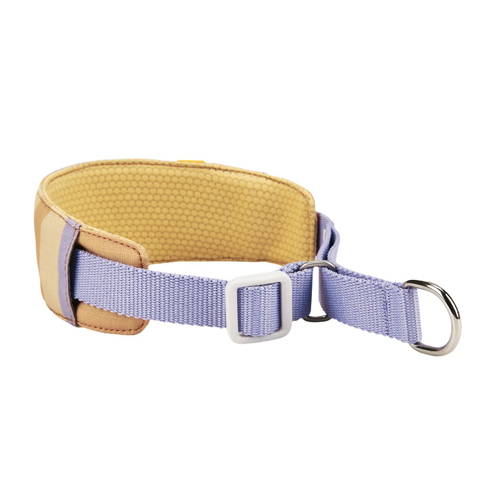 Hundehalsband Zugstopp Sunshower