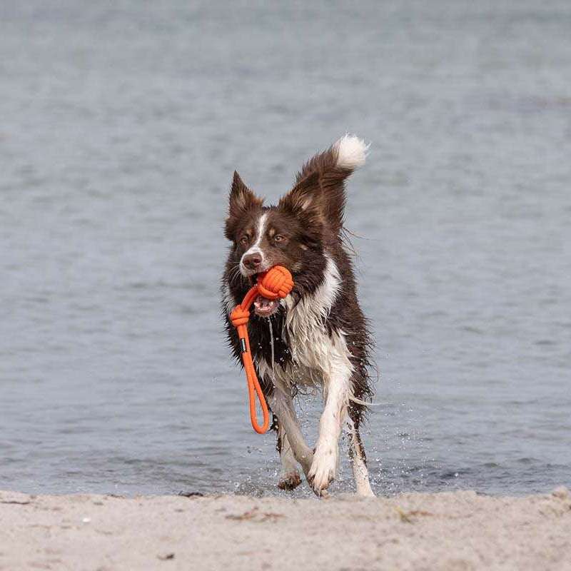 Hundespielzeug Tau Bolly