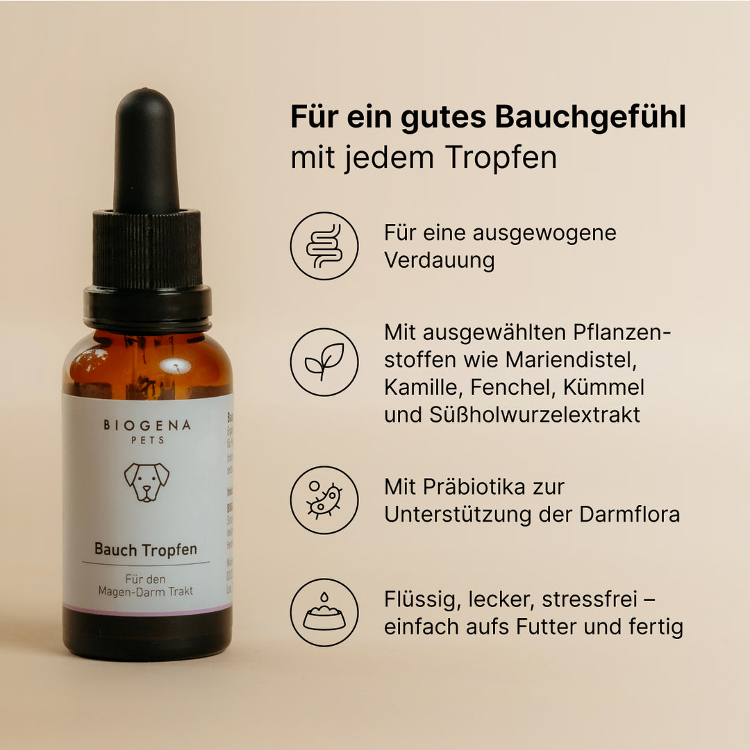 Bauch Tropfen (30 ml)