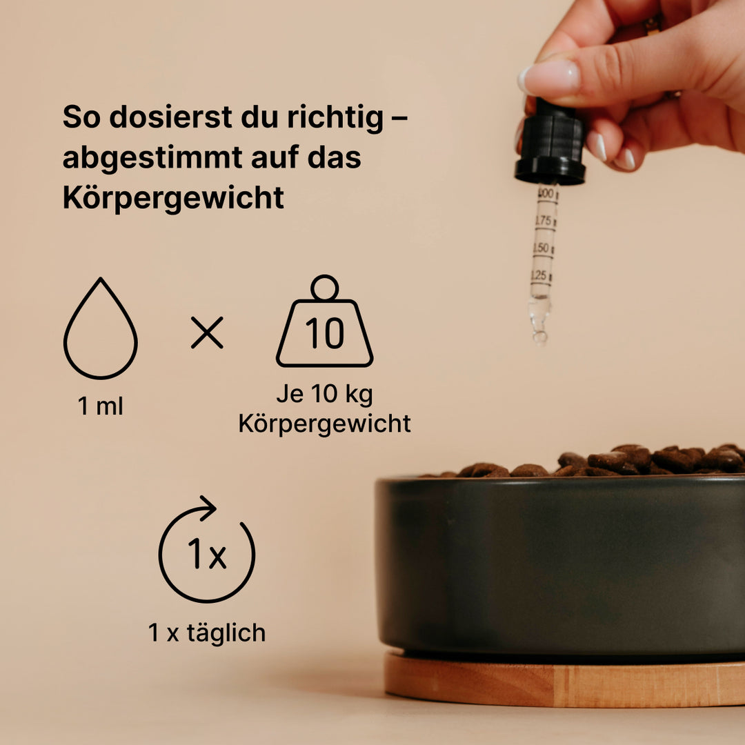 Gelenk Tropfen (30 ml)