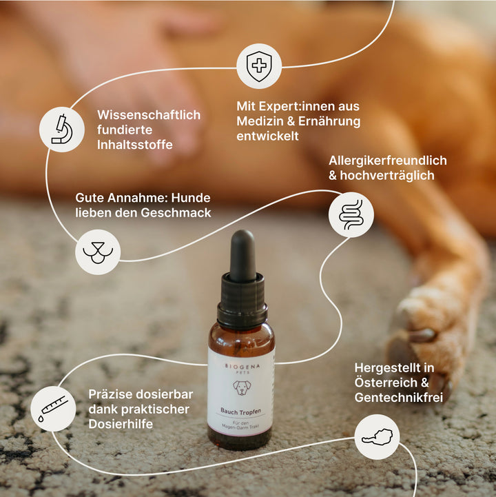 Bauch Tropfen (30 ml)