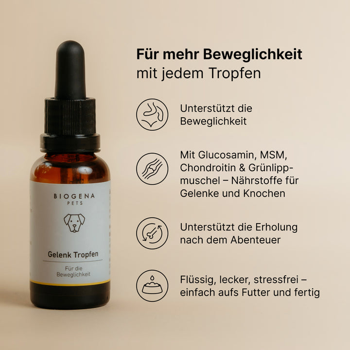 Gelenk Tropfen (30 ml)