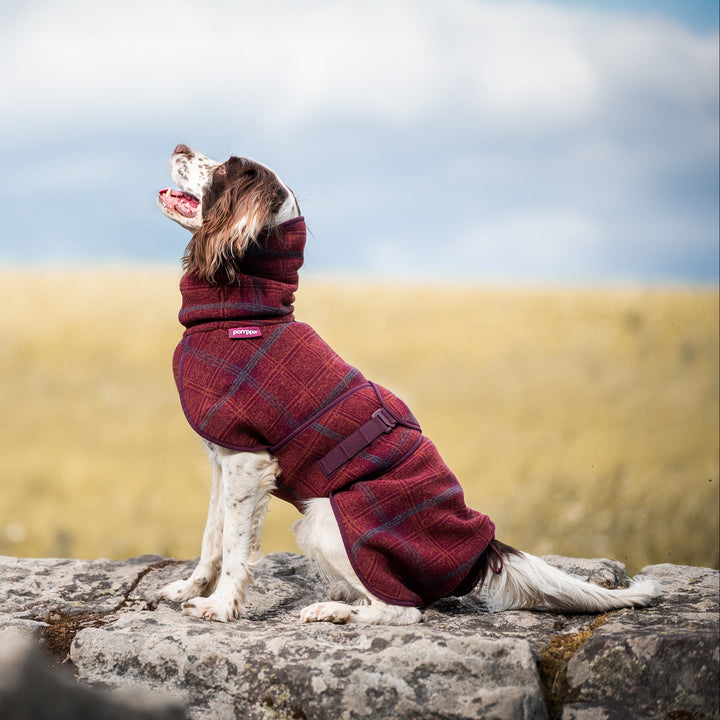 Wollmantel Woolie – Wendbarer Premium-Hundemantel Maroon