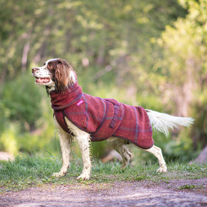 Wollmantel Woolie – Wendbarer Premium-Hundemantel Maroon