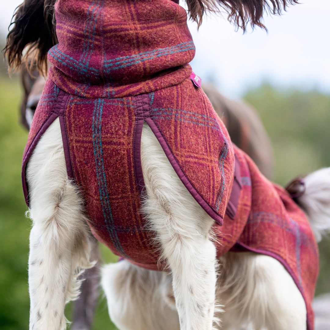 Wollmantel Woolie – Wendbarer Premium-Hundemantel Maroon